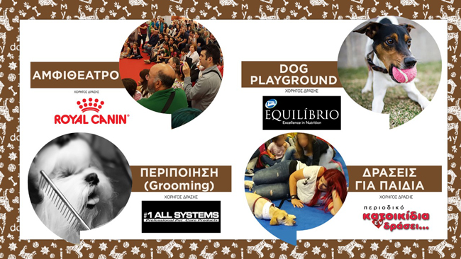 discover dogs 2