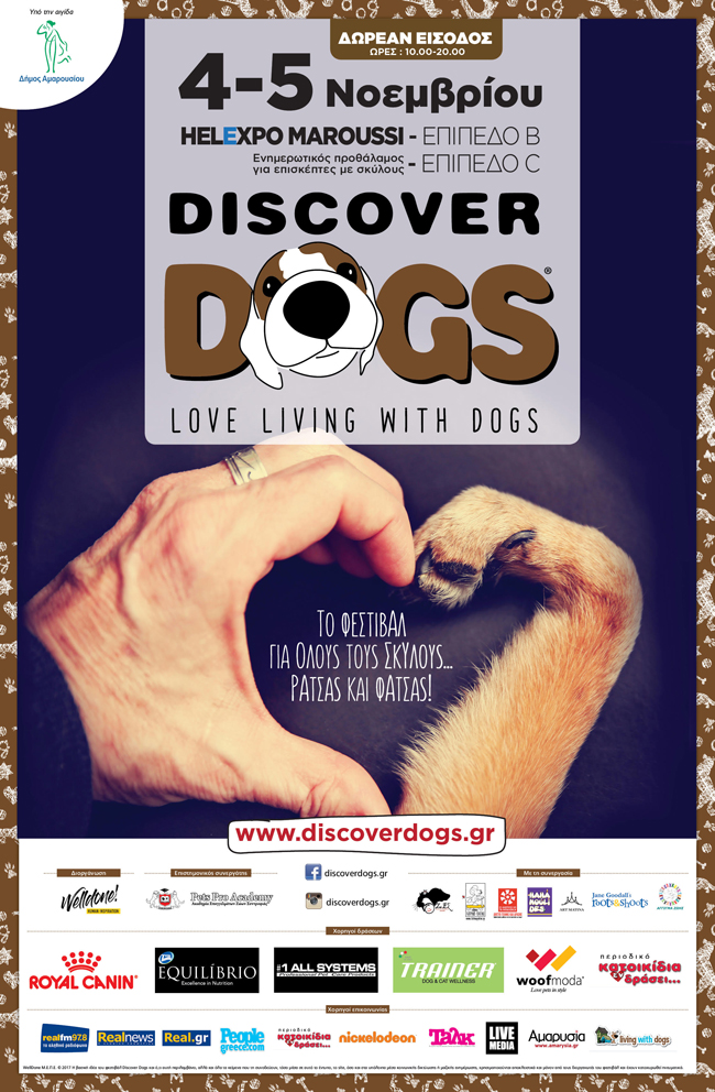 discover dogs in
