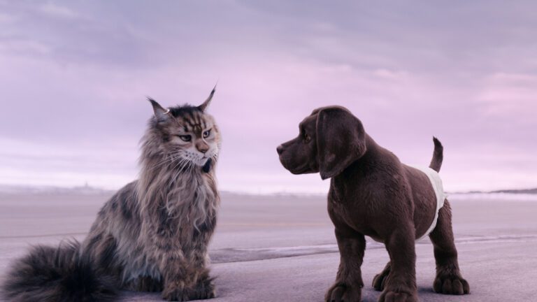 Κέρδισε διπλές προσκλήσεις για την ταινία Σκύλος & Γάτα Μια τρελή Καταδίωξη