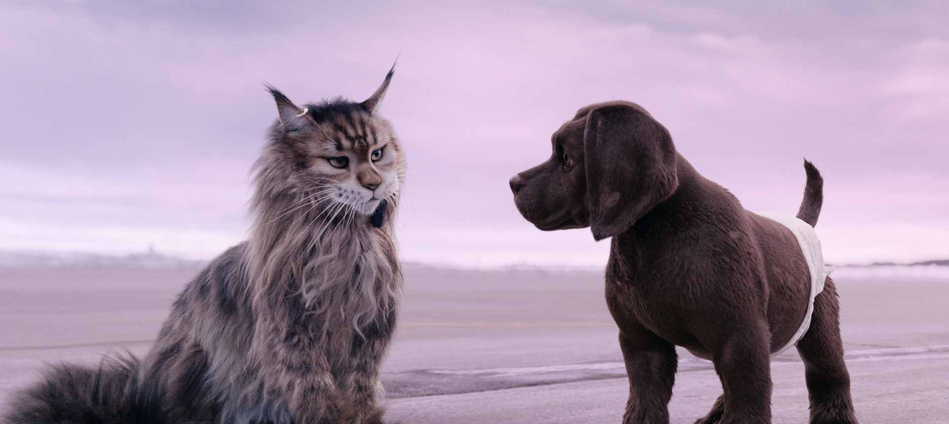 Κέρδισε διπλές προσκλήσεις για την ταινία Σκύλος & Γάτα Μια τρελή Καταδίωξη